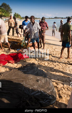 Sri Lanka, Trincomalee, Dutch Bay, fishermen fishing landing horseshoe net on shore Stock Photo