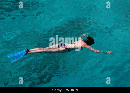 ABC Islands (Aruba,Bonaire and Curaçao) : snorkeling in Curaçao Stock Photo