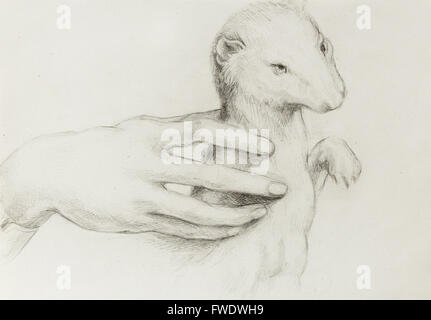 drawing according Leonaqrdo daVinci , detail with hand touching stoat Stock Photo