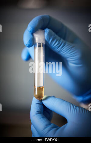 well plate loaded into testing machine analysing biology analyser blood ...