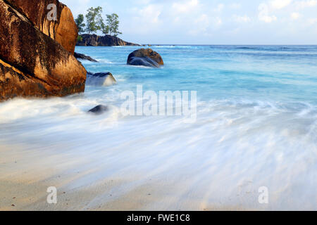 Bitterorange oder Pomeranze (Citrus × aurantium), Insel Mahe, Seychellen Stock Photo