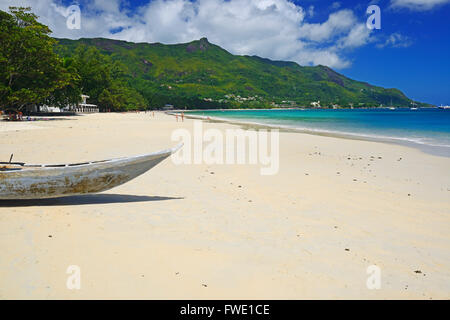 Brotfrucht, Frucht des Brotfruchtbaum (Artocarpus altilis, Artocarpus communis) Insel Mahe, Seychellen Stock Photo