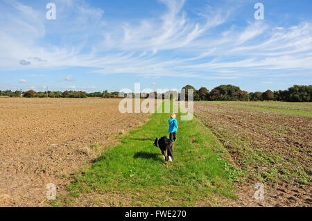 Toddler running with Border Collie dog along footpath between two fields.  Mares tails clouds. Stock Photo