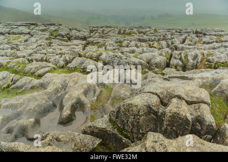 Limestone pavement at Malham Tarn, Malham Cove in Yorkshire Enlgland UK Stock Photo