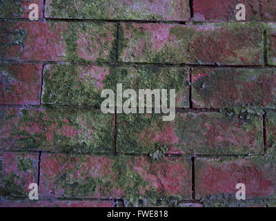 Brick wall with moss growing on it under a bridge in Prospect Park; Brooklyn; NY. Stock Photo
