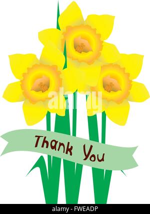 vector illustration of thank you card with daffodils Stock Vector