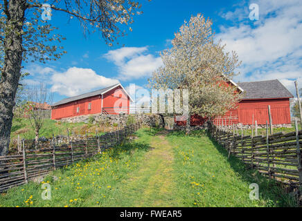 Old farm house and traditional roundpole fence in a rural landscape at ...