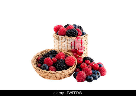 Raspberries,blackberries,blueberries and red currants in and around a wicker basket with lid isolated on white. Stock Photo