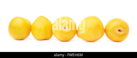 Lined up yellow plums isolated Stock Photo