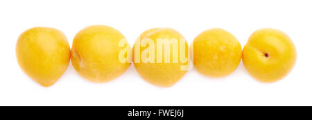 Lined up yellow plums isolated Stock Photo