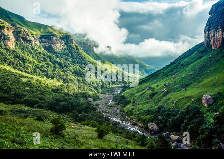 Green scenery along Tugela river, Tugela valley, Drakensberg National Park, KwaZulu Natal, South Africa Stock Photo