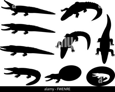 Set of crocodile silhouettes on white, vector object Stock Vector
