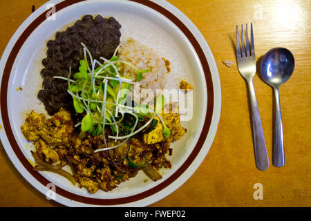 A simple meal of scrambled tofu along with rice and beans at a market in Hawaii is served for a hearty breakfast before surfing. Stock Photo