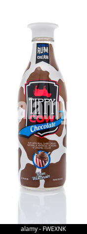 Winneconne, WI - 16 March 2016: Bottle of Tippy Cow in chocolate flavor on an isolated background. Stock Photo
