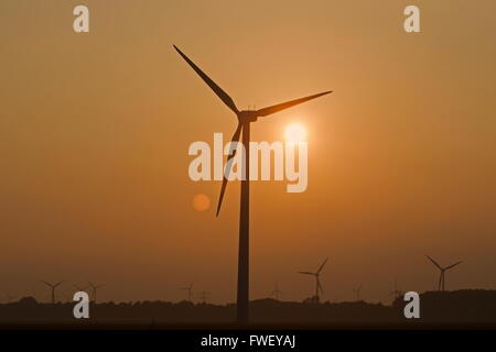 Lelystad, Netherlands: Windmills and the setting sun, The Netherlands Stock Photo