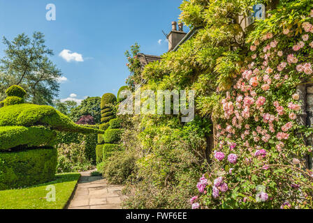 Boxtree garden at the Norman Castle Haddon Hall near Bakewell, Derbyshire, England, UK Stock Photo