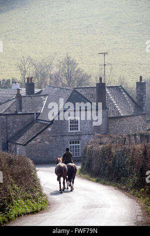 horses on rural road,horses in country lane,lane, kingdom, britain, england, rural, british, road, uk, houses, vibrant, green, t Stock Photo