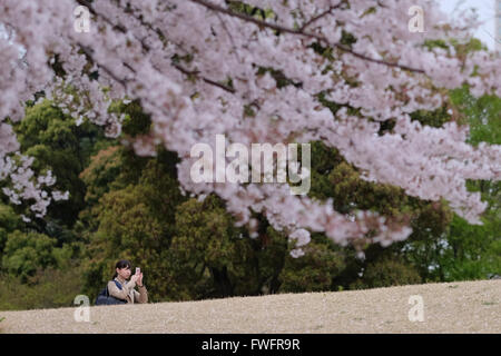 Tokyo, Japan. 5th Apr, 2016. A woman takes a photo of cherry blossoms in Tokyo, Japan, April 5, 2016. © Yuriko Nakao/AFLO/Alamy Live News Stock Photo