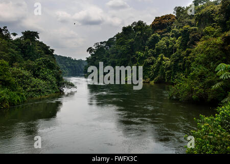 The rivers of the rainforest, Gabon, Central Africa Stock Photo - Alamy