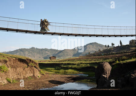 A woman is crossing a suspension bridge. She is carrying livestock feed ( Ethiopia) Stock Photo