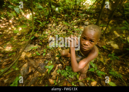 Bayaka Pygmies in the equatorial rainforest, Central African Republic, Africa Stock Photo