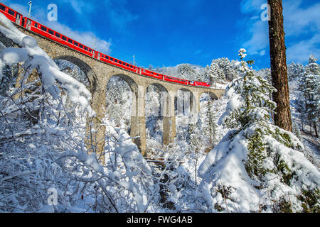 Bernina Express passes through the snowy woods around Filisur Canton of Grisons Switzerland Europe Stock Photo