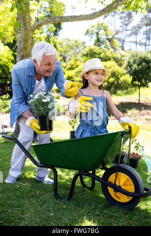 Grandfather carrying his granddaughter in a wheelbarrow Stock Photo
