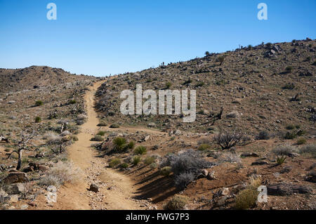 desert hiking trail, Joshua Tree National Park, Twentynine Palms, California, USA Stock Photo
