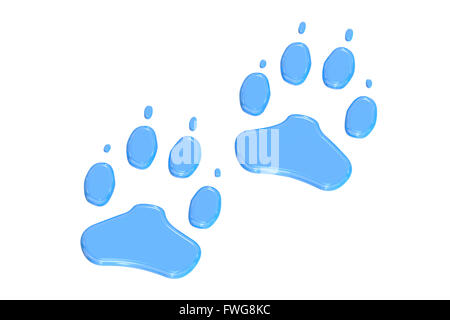 animal paw prints, 3D rendering isolated on white background Stock Photo