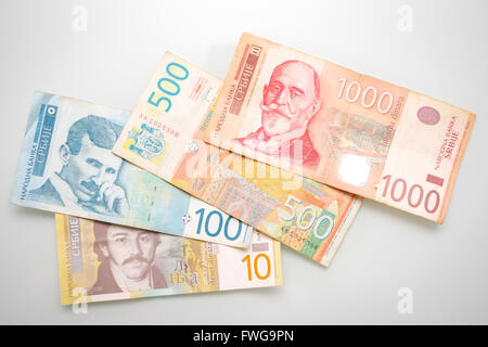 Different Serbian dinar bills displayed on white background. Stock Photo
