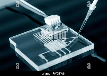 Lab on a chip (LAC) technology with a pipette. Stock Photo
