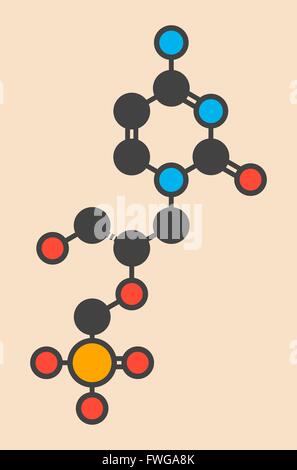 Cidofovir cytomegalovirus (CMV HCMV) drug molecule Can probably also be used against smallpox infection Stylized skeletal Stock Photo