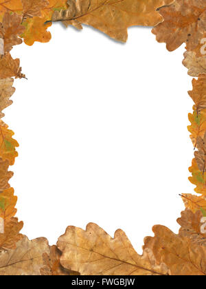 Nice picture frame made from dry oak leaves Stock Photo