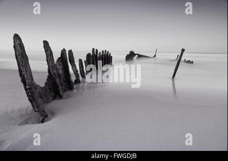 The SS Dicky at sunrise. Shipwrecked on Dicky Beach, Queensland, Australia. Black and White. Stock Photo