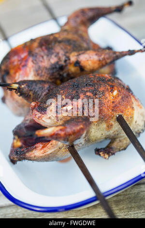 Two small roasted cooked game birds on skewers. Stock Photo