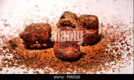 Chocolate Truffles Stock Photo