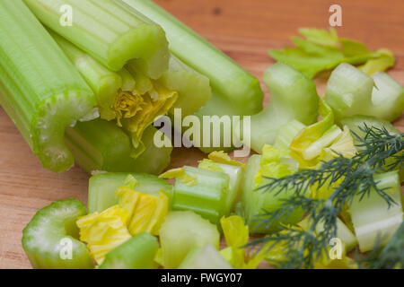 stalks of celery and fennel Stock Photo