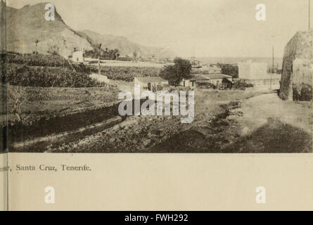 The Canary Islands - their history, natural history and scenery - an account of an ornithologist's camping trips in the archipelago (1922) Stock Photo