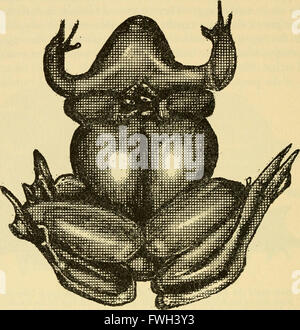 The ecology and life history of the common frog (Rana temporaria temporaria) (1962)