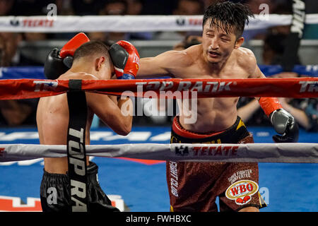 New York, New York, USA. 11th June, 2016. JOZSEF AJTAI (black trunks) and ZOU SHIMING battle in a featherweight WBO International Championship bout at Madison Square Garden in New York City, New York. © Joel Plummer/ZUMA Wire/Alamy Live News Stock Photo