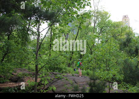 A visitor seen in the Hallett Nature Sanctuary at Central Park in New York, USA, 18 May 2016. This part of Central Park was reopened to the public in early spring after being overhauled. Photo: CHRISTINA HORSTEN/dpa Stock Photo