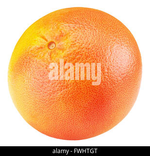 grapefruit isolated on the white background. Stock Photo