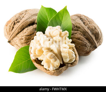 walnuts isolated on the white background. Stock Photo