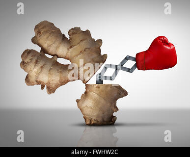 Ginger medicine concept as a natural herbal medicinal root opened with a boxing glove icon emerging with a 3D illustration mechanism to fight off disease and pain as a metaphor for holistic or eastern traditional medication. Stock Photo