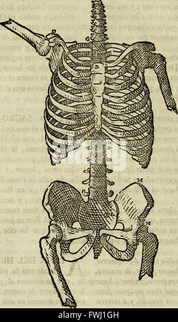 Varia commensuracion para la escultura y arquitectura (1773) Stock Photo