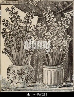 Wholesale price list of Michell's strictly highest quality bulbs, seeds and supplies for florists (1900)