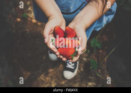 Girl Holding Strawberries