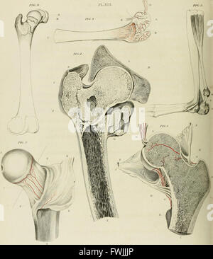 A treatise on dislocations and on fractures of the joints (1824) Stock Photo