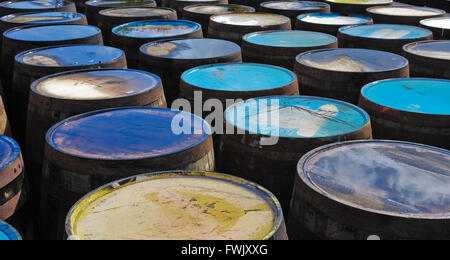 Tops of scotch whisky barrels Stock Photo