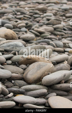 Stones on the beach Stock Photo